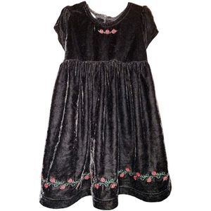 Blueberi Boulevard Little Girl's Velvet Dress, 3T, Black